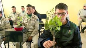 Producción Agropecuaria