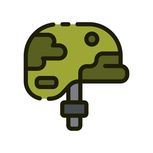 VALORES Y PRINCIPIOS MILITARES