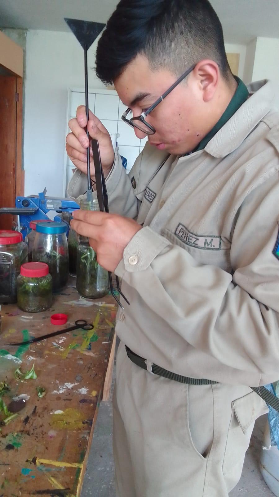 Preparación para el futuro